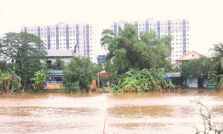 Mưa vượt kỷ lục và chuỗi thiên tai dị thường dồn dập, hiếm gặp tại Huế