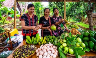 Nhiều mô hình du lịch sinh thái tạo việc làm cho đồng bào Cơ Tu tại Đà Nẵng