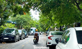 Loạt tuyến đường ở Đà Nẵng biến thành “bãi đậu xe”