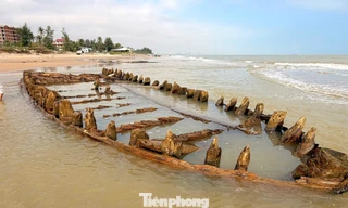 Bàn phương án bảo vệ và khai quật tàu cổ xuất lộ ở bờ biển Hội An