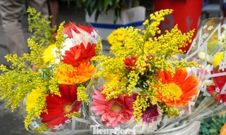 Dậy từ tờ mờ sáng đi mua loại hoa chỉ nghe tên đã nghĩ đến... tiền 