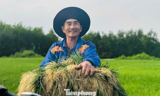 'Thủ phủ' kiệu xứ Quảng rộn ràng vào vụ thu hoạch Tết