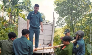 Phát hiện bom, đạn rocket sót lại sau chiến tranh giữa ruộng lúa