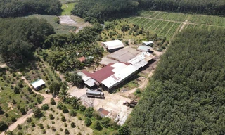 Xưởng chế biến mủ cao su trái phép ở xã Đăk Rơ Wa nhìn từ trên cao.