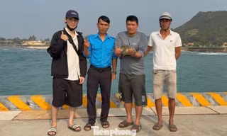 Phát hiện động vật quý hiếm trong Sách đỏ bị dính 'lưới ma'