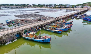 Bất chấp lệnh cấm, ngư dân vẫn neo tàu ở cây cầu rệu rã