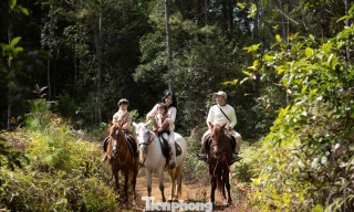 Thích thú du lịch cưỡi ngựa ở Măng Đen