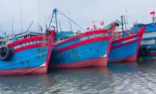 Quảng Ngãi phạt gần 900 triệu đồng 4 thuyền trưởng tàu cá vi phạm