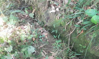 Núi nứt toác, đe dọa 61 hộ dân ở Quảng Ngãi