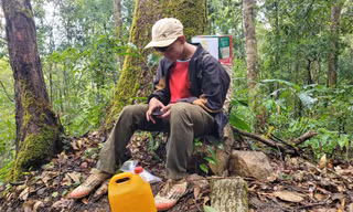 Ngược núi lên đỉnh Ngọc Linh ‘ăn Tết với sâm’