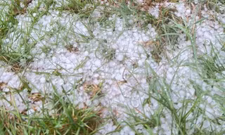 Mưa đá dồn dập ở vùng cao Tu Mơ Rông, hoa màu, cây trồng dập nát