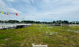 Cải tạo xong, hồ điều hòa giữa trung tâm tỉnh Quảng Ngãi nước vẫn... không ngập ngọn cỏ