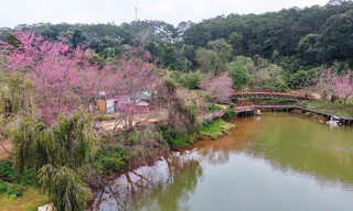 Bất ngờ doanh thu du lịch Quảng Ngãi sau sáp nhập 