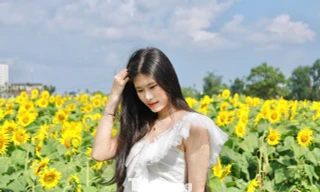 'Lạc lối' ở cánh đồng triệu bông hoa hướng dương bừng nở tại Quảng Ngãi 