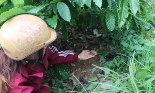 Bón phân cả tháng không tan, người dân gửi đơn ‘cầu cứu’ chính quyền