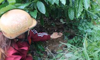 Bón phân cả tháng không tan, người dân gửi đơn ‘cầu cứu’ chính quyền