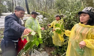 Thủ phủ sâm Ngọc Linh tan tác sau mưa bão, thiệt hại nhiều tỷ đồng