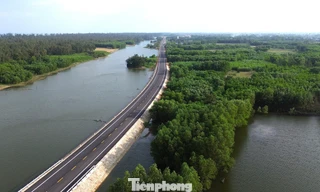 Ngắm cung đường ven biển băng qua rừng dương, cồn cát đẹp bậc nhất Quảng Ngãi