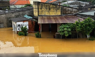 Lũ vượt đỉnh, nhiều khu dân cư ở Quảng Ngãi bị nước bủa vây