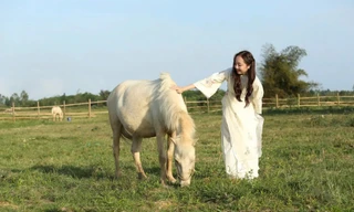 Bạch mã dưới chân Thiên Mã