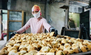 'Đột nhập' lò bánh thuẫn trăm năm ngày áp Tết