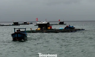 Biển động do bão số 12, đảo Bé Lý Sơn dự trữ 1 tấn gạo phòng bị cô lập