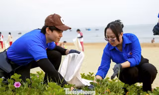 Bạn trẻ Đà Nẵng hào hứng thu gom rác dọc bãi biển, đổi rác lấy cây xanh 