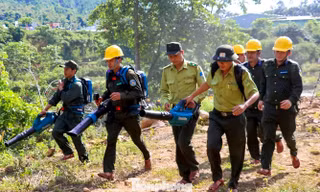 Đà Nẵng chủ động ứng phó, không để cháy rừng bùng phát mùa nắng nóng