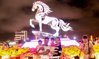 Đường hoa xuân Đà Nẵng đông kín người trước đêm giao thừa