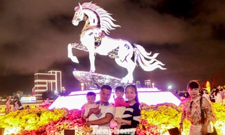 Đường hoa xuân Đà Nẵng đông kín người trước đêm giao thừa