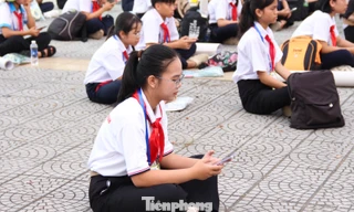 Đà Nẵng tìm kiếm 'Thủ lĩnh Khăn quàng đỏ'