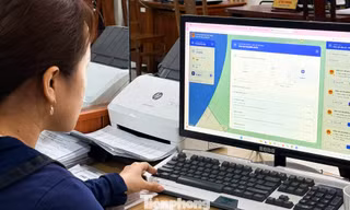 Đà Nẵng: Theo dõi tiến độ bầu cử, tìm điểm bỏ phiếu bằng Bản đồ số