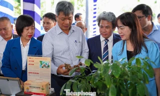 Đà Nẵng sẽ là trung tâm dược liệu của cả nước và khu vực