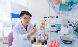 Đà Nẵng đang trở thành 'vườn ươm' khởi nghiệp xanh