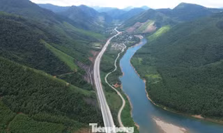 Sau sáp nhập, Đà Nẵng rộng cửa bước vào thị trường tín chỉ carbon toàn cầu