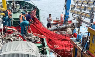 Hải đội Dân quân thường trực Đà Nẵng cứu hộ tàu cá gặp nạn trên biển