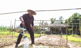 Khách Tây hào hứng làm nông dân gánh nước, trồng rau 