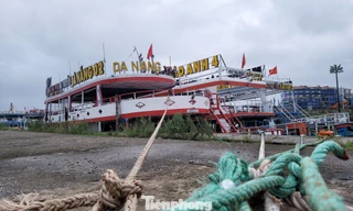 Nước sông Hàn dâng cao, du thuyền tiền tỷ kéo nhau đi 'núp' bão sớm