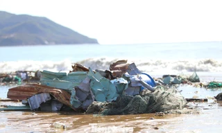Bãi biển Quy Nhơn ngập rác sau bão số 13