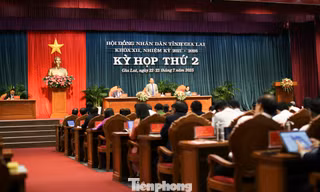 Kỳ họp thường lệ HĐND tỉnh Gia Lai đầu tiên sau sáp nhập thảo luận việc gì? 