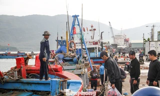 Ngư dân tất bật vươn khơi trong chuyến biển xuyên năm mới