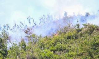 Giữa trưa nắng núi Bà Hỏa bốc cháy