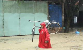 Ngập lụt bủa vây nhiều khu vực ở Gia Lai