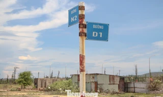 Bên trong dự án ở Khu kinh tế Nhơn Hội vừa bị ‘tuýt còi’