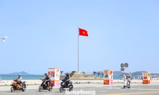 Cung đường Tiền Phong Marathon 2026 ‘triệu góc nhìn’ giữa lòng phố biển