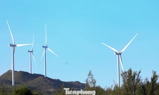 Gia Lai gọi vốn cho 12 dự án năng lượng tái tạo