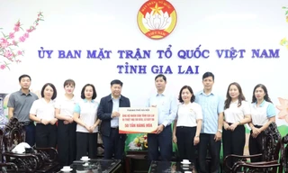 Hà Nội hỗ trợ Gia Lai 250 tỷ đồng cùng nhiều vật phẩm thiết yếu