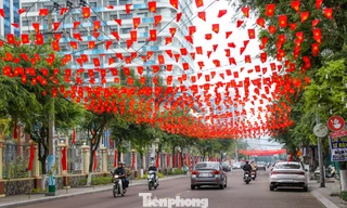 Rợp sắc cờ Tổ quốc trên tuyến đường đẹp nhất Quy Nhơn