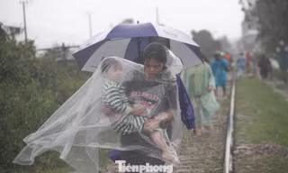 Nước lũ có nơi ngập 2m, người dân Quy Nhơn lên đường ray tìm nơi trú nạn