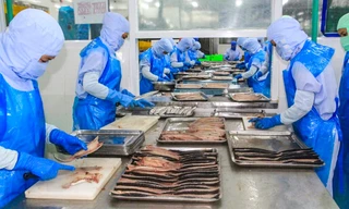 Ngành chế biển thủy sản của Gia Lai.